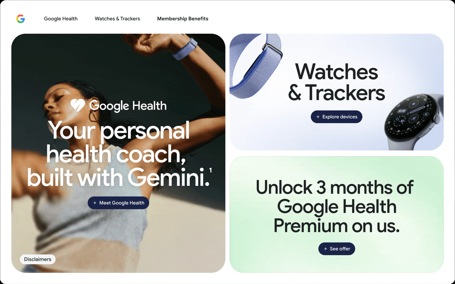 Fitbit Air demo interface