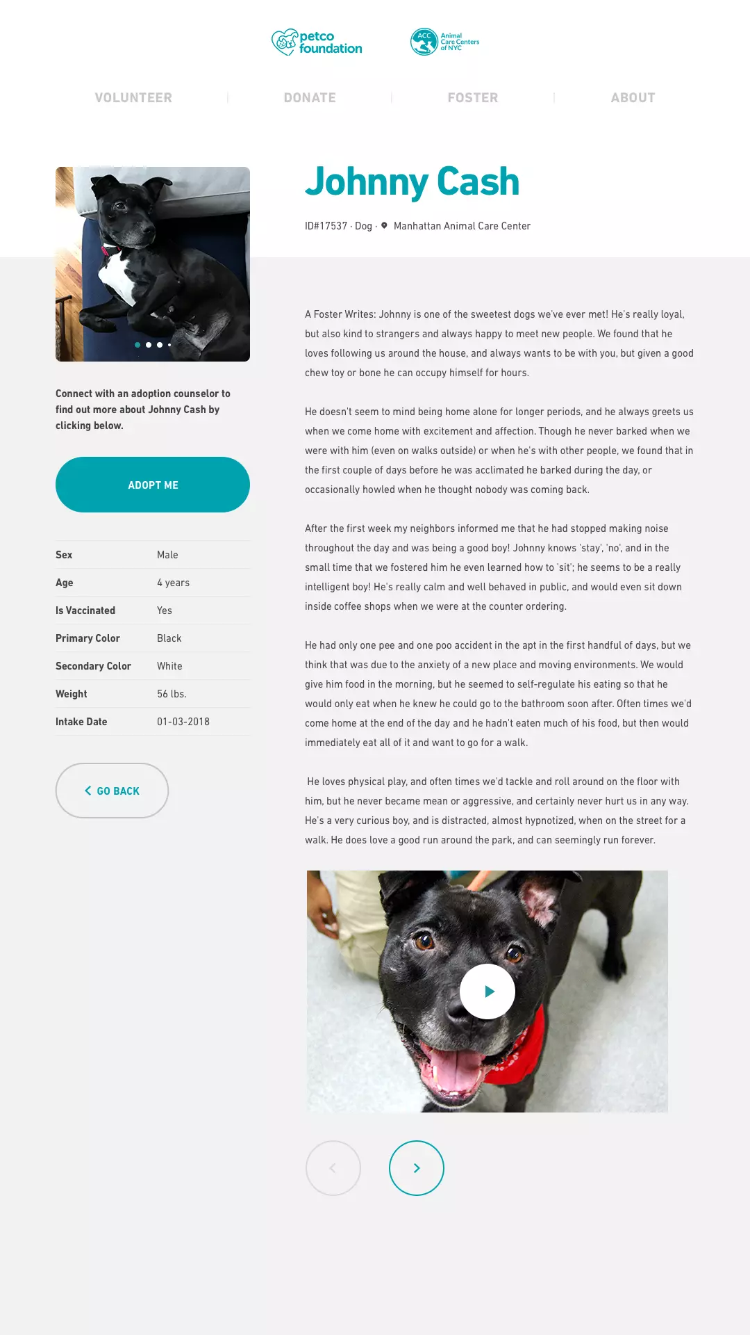 ezgif.com-gif-maker (1)