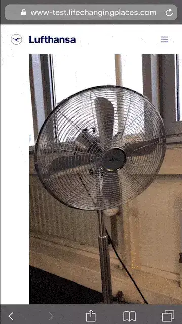 fan